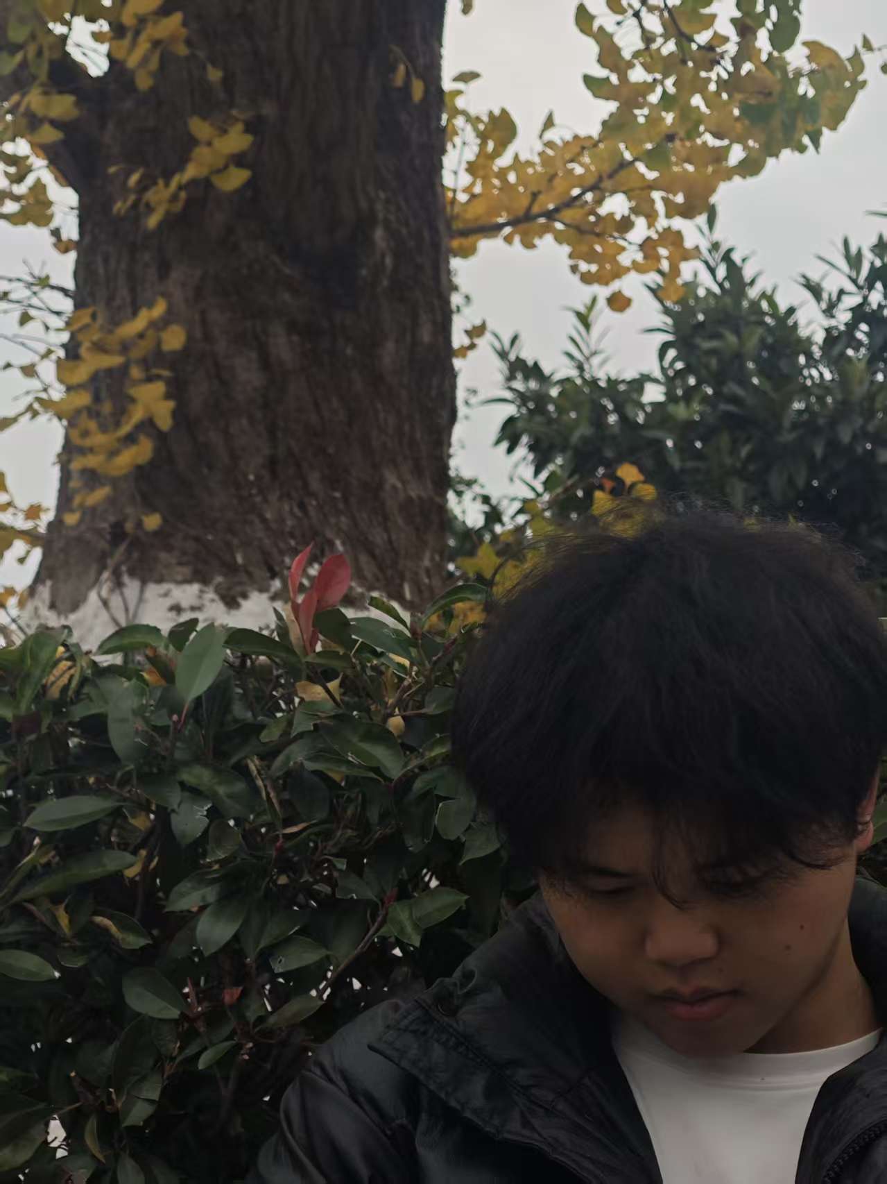 程金奎个人照片